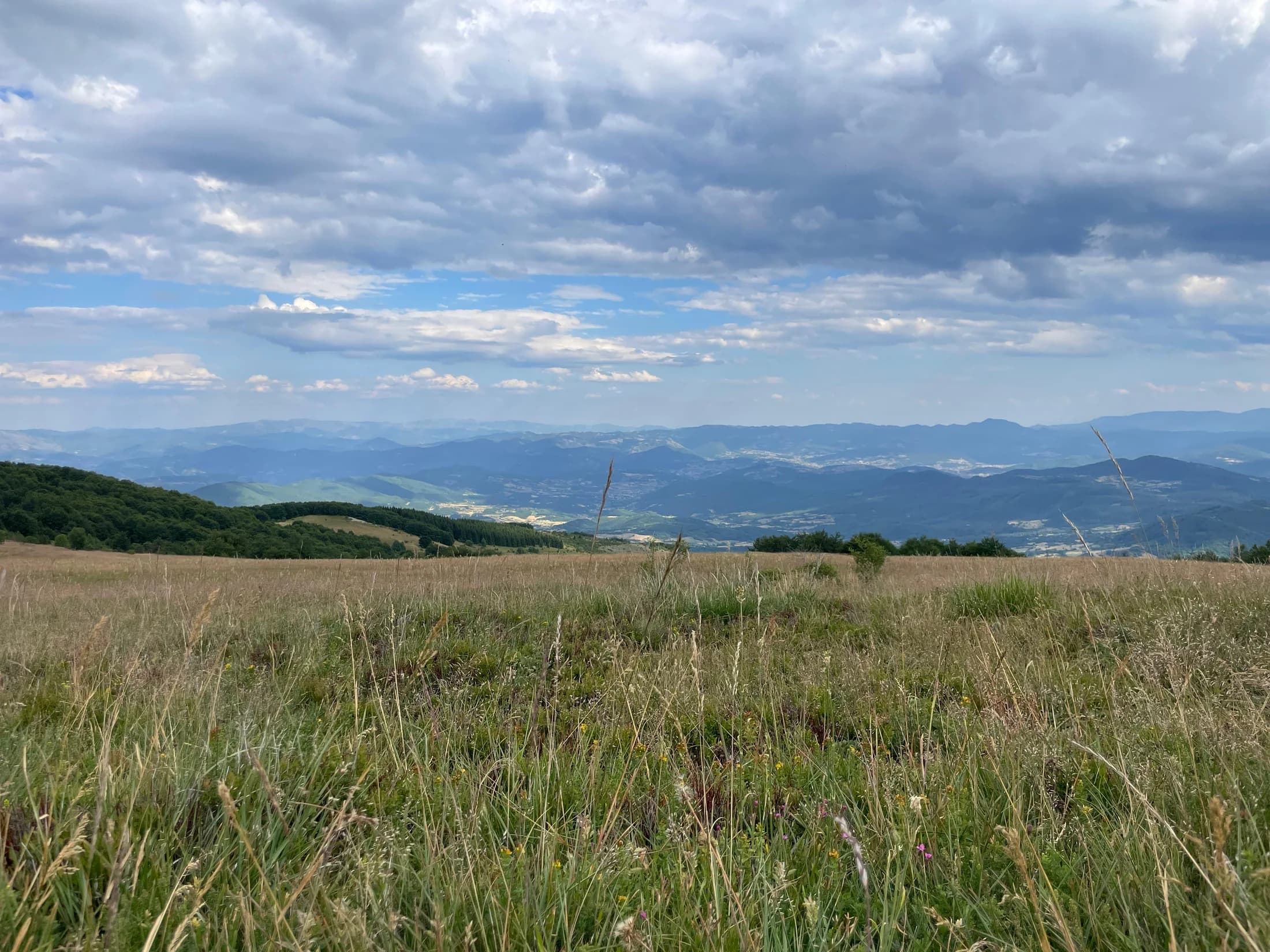 Panorama planine Golije · Topli Kutak Golija