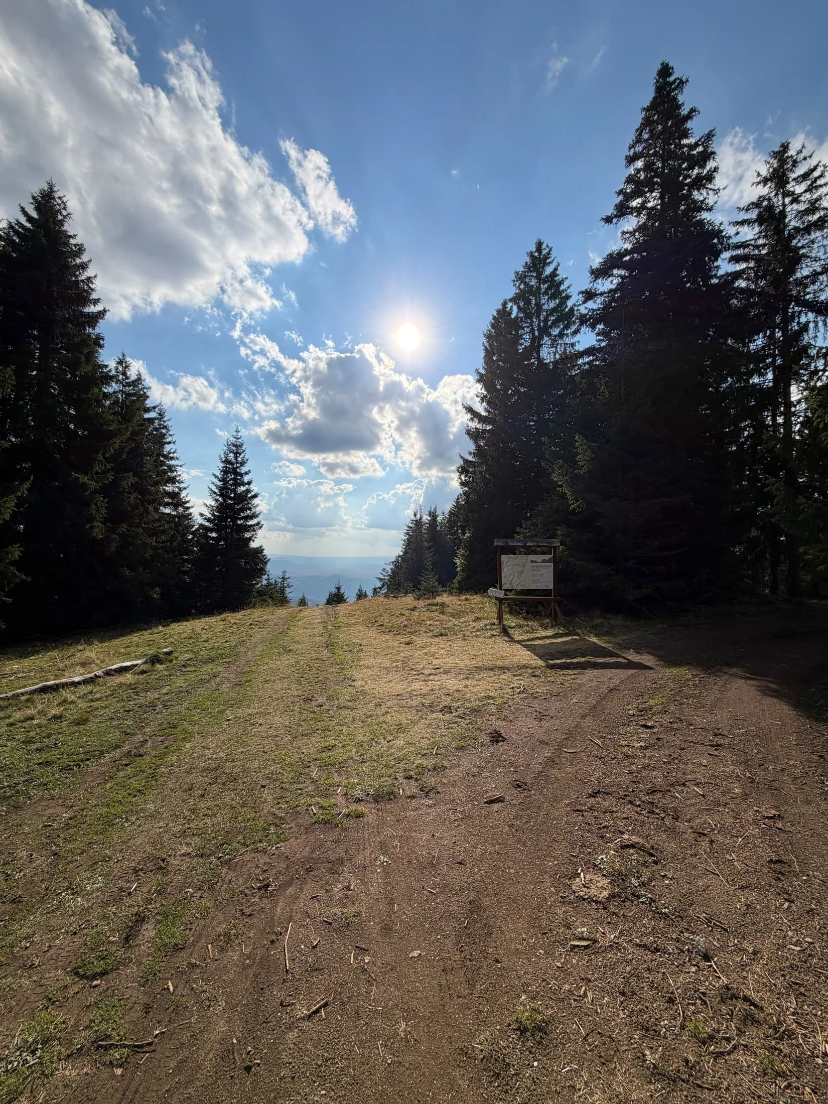 Šumska staza na Goliji · Topli Kutak Golija