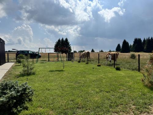 Titel-IMG_5401